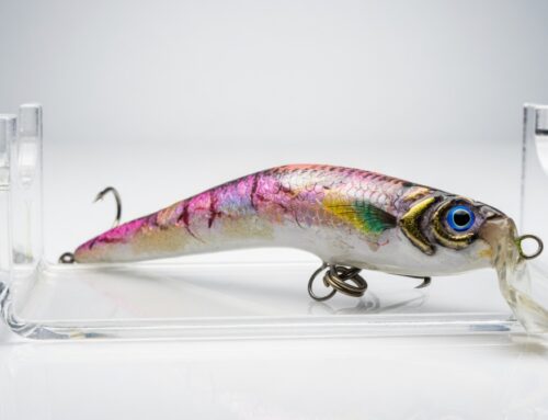 Crankbaits